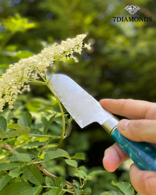 🌿 Hausgemachter Holundersirup & das perfekte Messer-Tool dafür 🔪✨